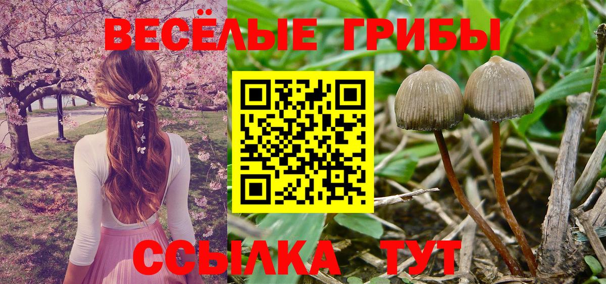 Псилоцибиновые грибы Magic Shrooms  Вход с VPN  Камышлов 