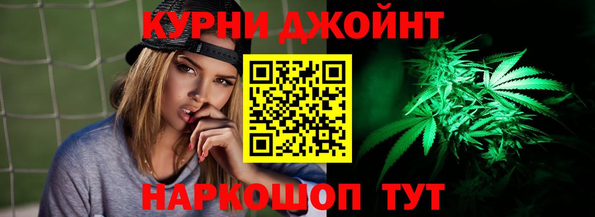 Каннабис сатива Камышлов